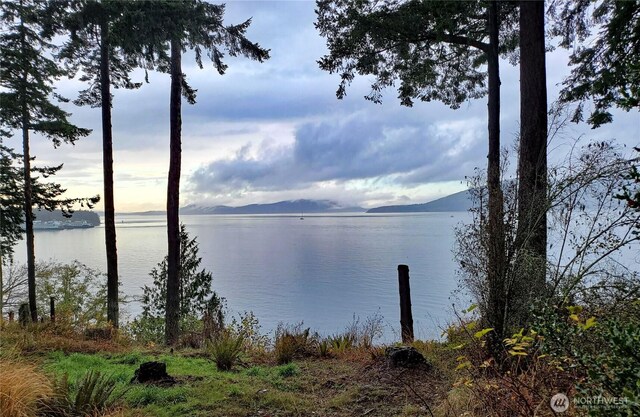 4100 Oakes Ave, Anacortes, WA 98221 - photo 20
