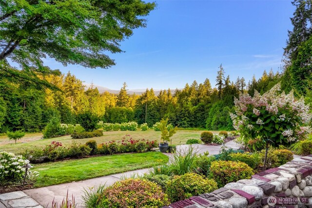29935 NE Tolt Hill Rd, Carnation, WA 98014 - photo 11