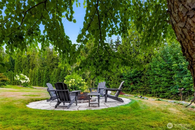 29935 NE Tolt Hill Rd, Carnation, WA 98014 - photo 15