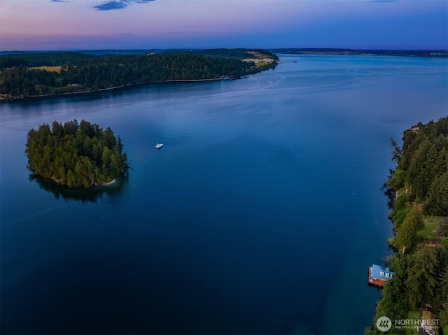11901 Larson Rd, Anderson Island, WA 98303 - drone / aerial view of a large body of water