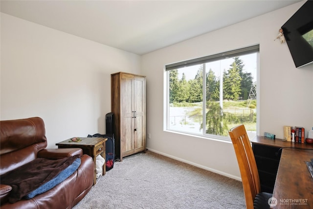 534 Gilbertson Ln SE, Olympia, WA 98501 - office space featuring light carpet and baseboards