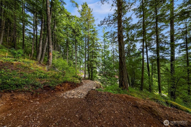 3071 Hales Passage Dr, Lummi Island, WA 98262