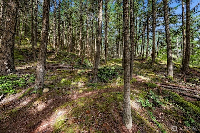 3071 Hales Passage Dr, Lummi Island, WA 98262