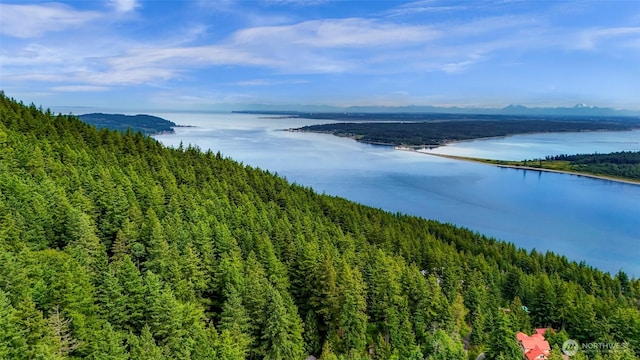 3071 Hales Passage Dr, Lummi Island, WA 98262