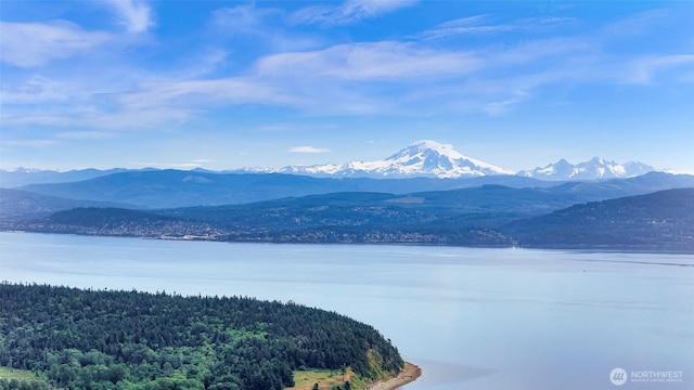 3071 Hales Passage Dr, Lummi Island, WA 98262
