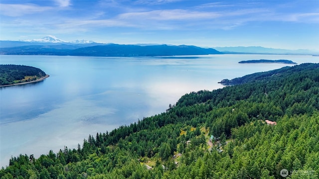 3071 Hales Passage Dr, Lummi Island, WA 98262