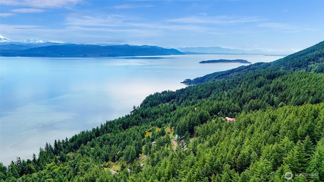 3071 Hales Passage Dr, Lummi Island, WA 98262