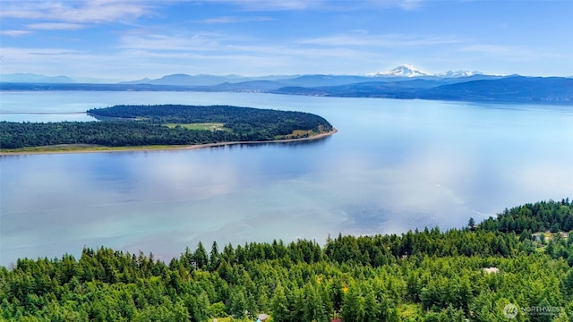 3071 Hales Passage Dr, Lummi Island, WA 98262