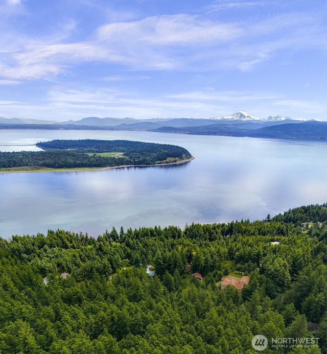 3071 Hales Passage Dr, Lummi Island, WA 98262