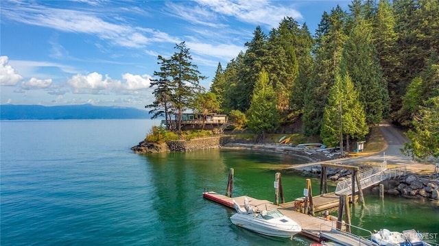 3071 Hales Passage Dr, Lummi Island, WA 98262