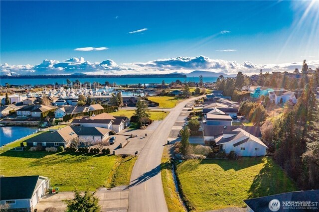 8145 Chehalis Rd, Blaine, WA 98230 - aerial view of residential area featuring a water and mountain view