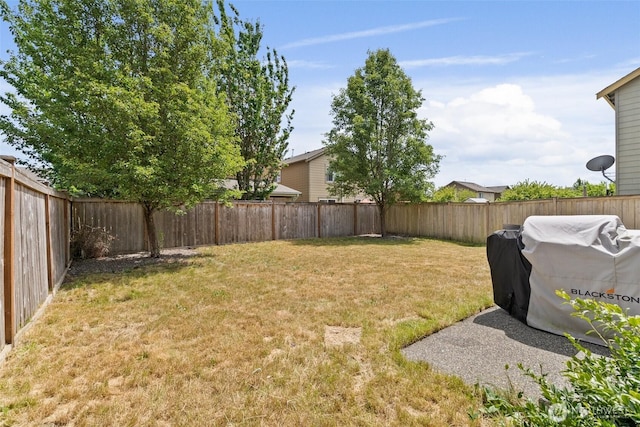 6600 Carolina St SE, Lacey, WA 98513 - view of yard