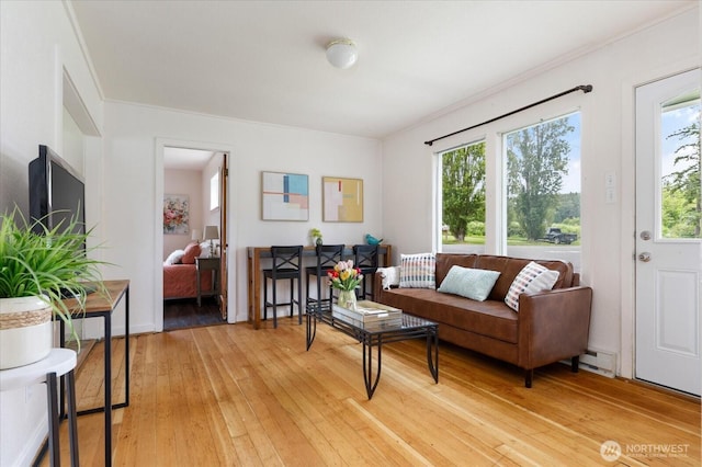 4191 N Imperial Ln, Oak Harbor, WA 98277 - living room with a baseboard heating unit, light wood-style flooring, and ornamental molding