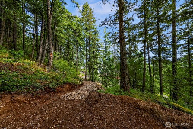 3073 Hales Passage Dr, Lummi Island, WA 98262
