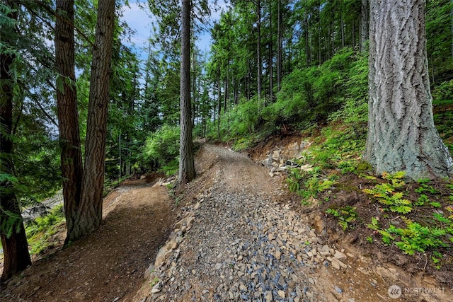 3073 Hales Passage Dr, Lummi Island, WA 98262