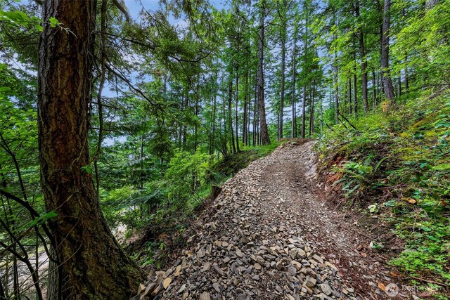 3073 Hales Passage Dr, Lummi Island, WA 98262