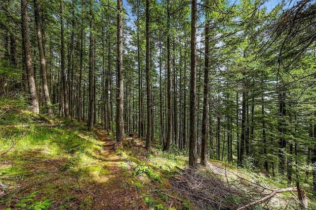 3073 Hales Passage Dr, Lummi Island, WA 98262