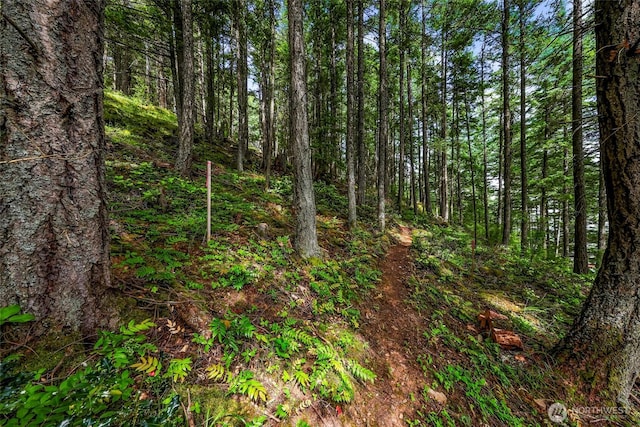 3073 Hales Passage Dr, Lummi Island, WA 98262