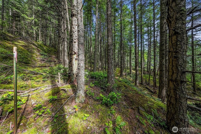 3073 Hales Passage Dr, Lummi Island, WA 98262