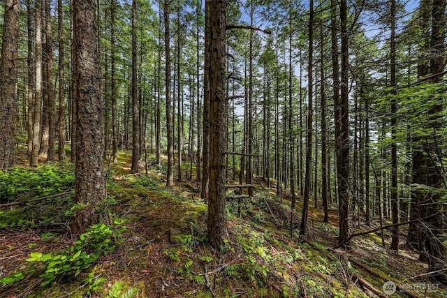 3073 Hales Passage Dr, Lummi Island, WA 98262