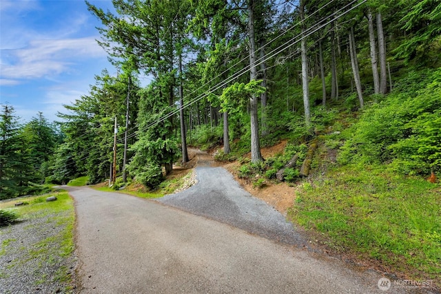 3073 Hales Passage Dr, Lummi Island, WA 98262