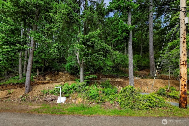 3073 Hales Passage Dr, Lummi Island, WA 98262