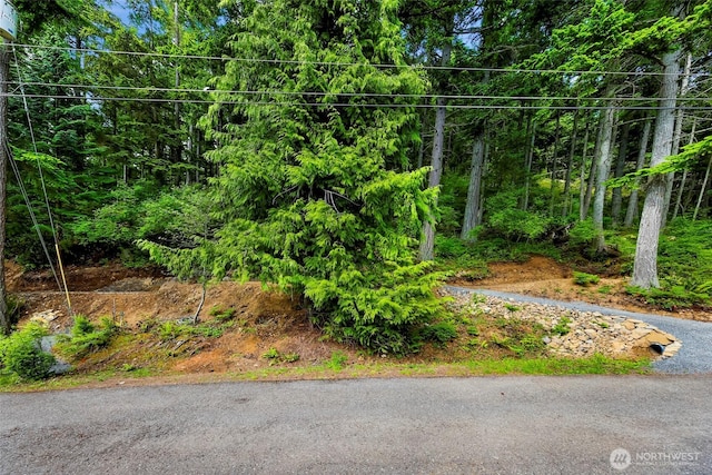 3073 Hales Passage Dr, Lummi Island, WA 98262