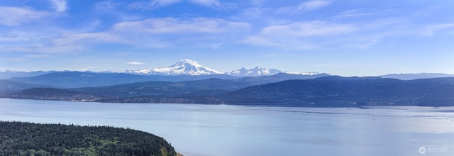 3073 Hales Passage Dr, Lummi Island, WA 98262