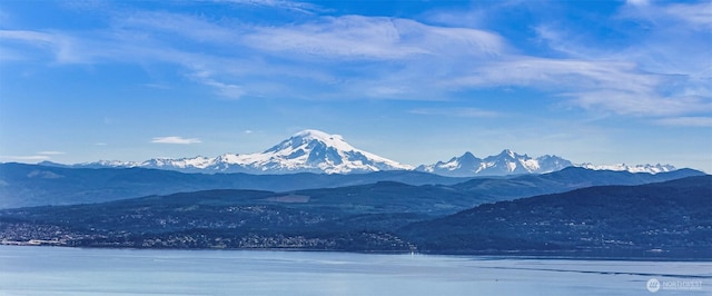 3073 Hales Passage Dr, Lummi Island, WA 98262