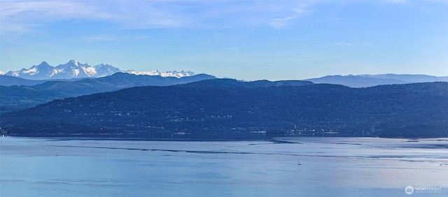 3073 Hales Passage Dr, Lummi Island, WA 98262
