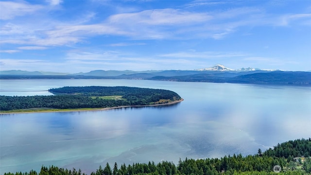 3073 Hales Passage Dr, Lummi Island, WA 98262