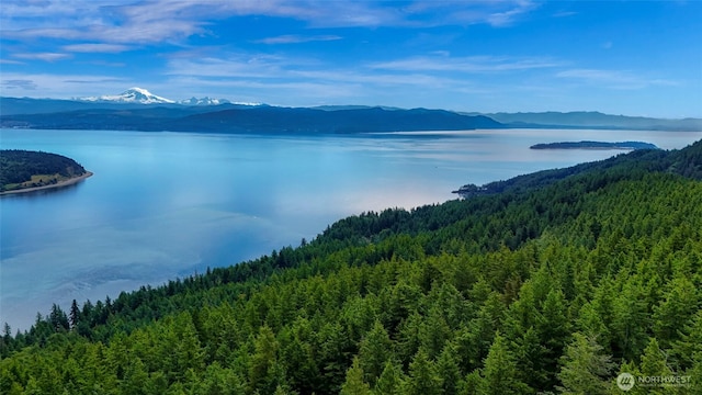 3073 Hales Passage Dr, Lummi Island, WA 98262
