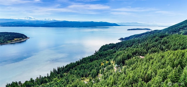 3073 Hales Passage Dr, Lummi Island, WA 98262