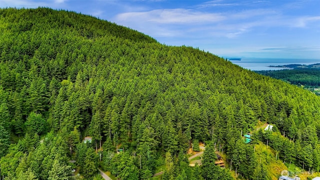 3073 Hales Passage Dr, Lummi Island, WA 98262
