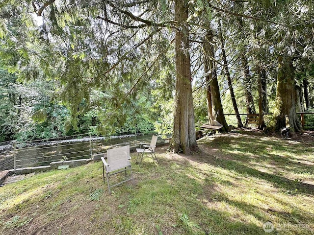 170 Tilton Dr, Morton, WA 98356 - photo 6