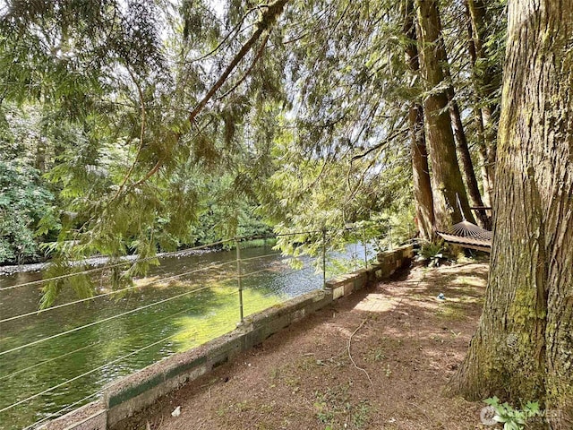 170 Tilton Dr, Morton, WA 98356 - photo 10