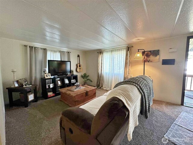 170 Tilton Dr, Morton, WA 98356 - photo 14