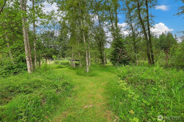 1804 36th Ave NE, Olympia, WA 98506 - view of wooded area