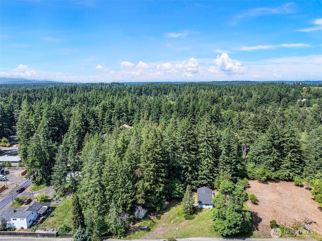 5119 38th Ave NW, Gig Harbor, WA 98335 - photo 20