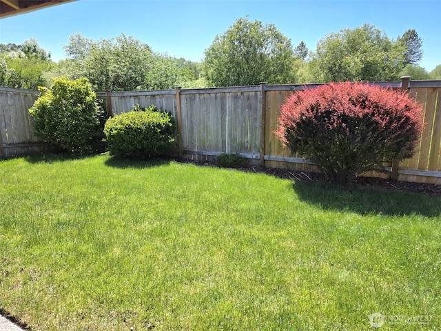 10127 Terra Valley St SE, Yelm, WA 98597 - view of yard