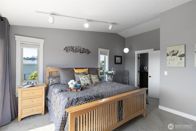 37981 Hood Canal Dr NE, Hansville, WA 98340 - bedroom featuring track lighting, carpet flooring, vaulted ceiling, and baseboards