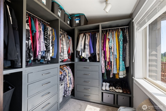 37981 Hood Canal Dr NE, Hansville, WA 98340 - spacious closet with light carpet