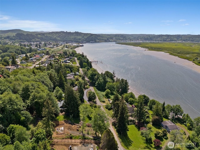 719 Main St, Raymond, WA 98577 - photo 5