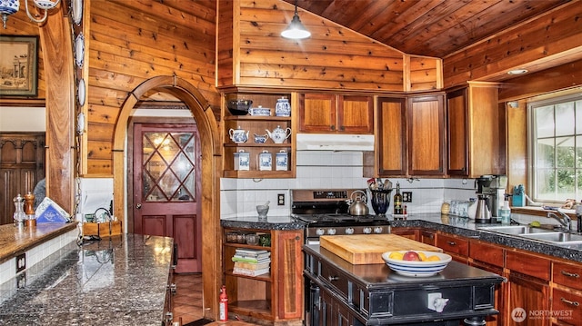 70 Cole Ave, Port Townsend, WA 98368 - kitchen featuring under cabinet range hood, vaulted ceiling, wood ceiling, arched walkways, and tasteful backsplash