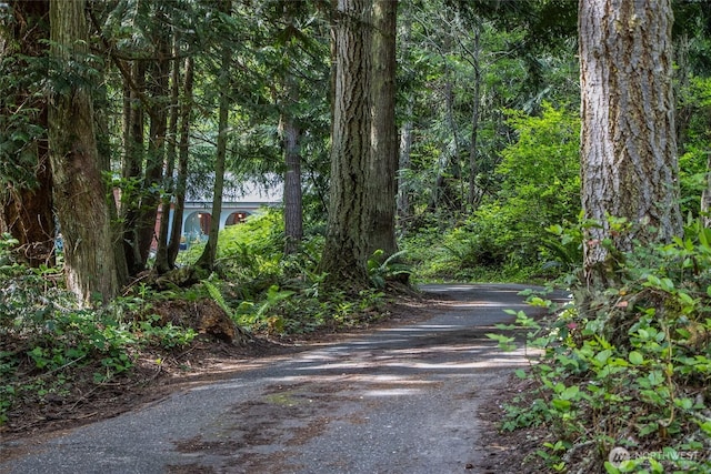 70 Cole Ave, Port Townsend, WA 98368 - view of road featuring a view of trees