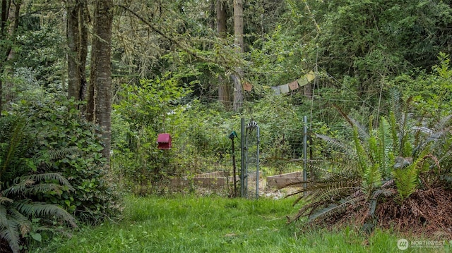 70 Cole Ave, Port Townsend, WA 98368 - view of wooded area