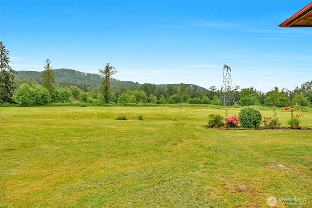 26812 162nd St SE, Monroe, WA 98272 - photo 32