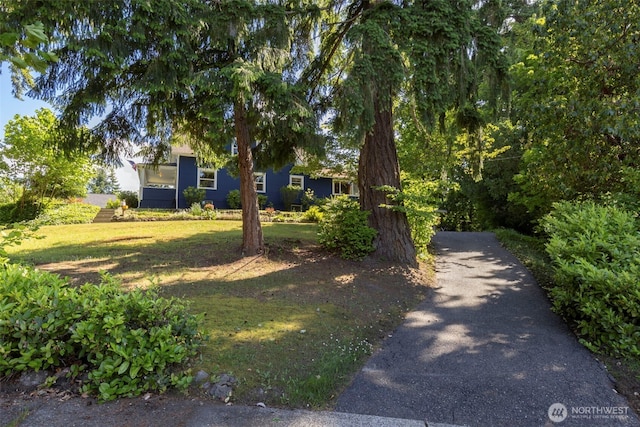 1010 Tacoma Ave, Port Orchard, WA 98366 - view of green lawn