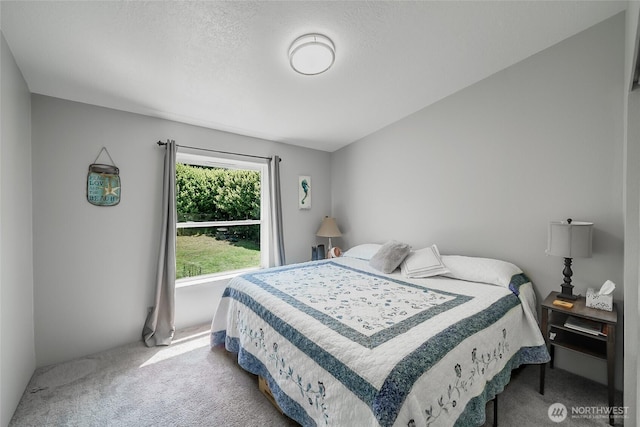 10419 Sandridge Rd, Long Beach, WA 98631 - bedroom with carpet flooring