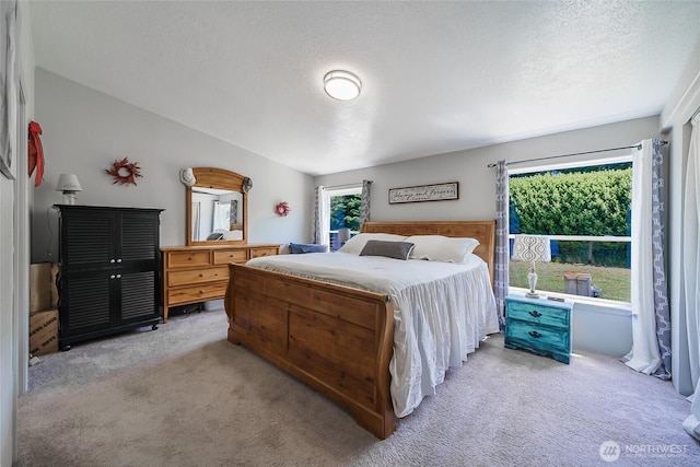 10419 Sandridge Rd, Long Beach, WA 98631 - bedroom with light carpet and multiple windows